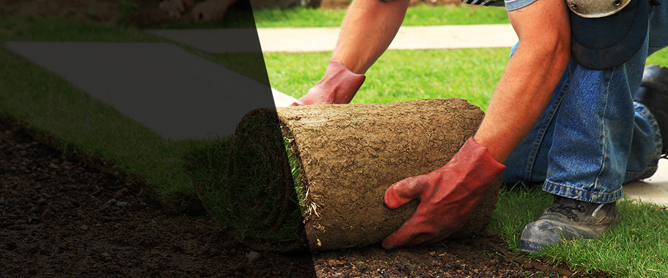 American Falls Landscapers